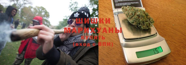 МДПВ Каменногорск