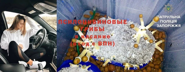герыч Иннополис
