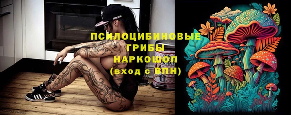 МДПВ Каменногорск