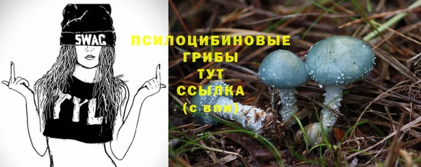таблы Каменка