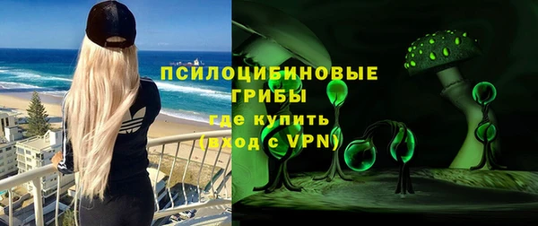 МДПВ Каменногорск