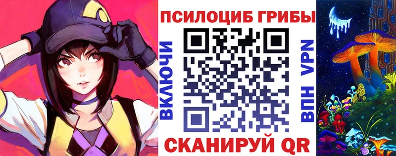Галлюциногенные грибы Magic Shrooms  Купить  Дятьково 